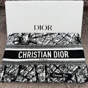 Dior Plan De Paris Cosmetic Pouch