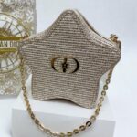 حقيبة مكياج ديور ستار (Dior Star) محدودة الإصدار بدون ستراب