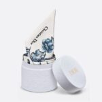 Dior Toile de Jouy Mexico Mitzah Scarf – Blue Edition