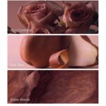 ⁦فيكتوريا سيكريت – Bare Rose Eau de Parfum⁩ - الصورة ⁦4⁩