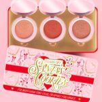 Santas Cookies Spoilt For Choice Blush Tin