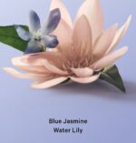 ⁦Blue Jasmine Water Lily Whipped Body Scrub⁩ - الصورة ⁦2⁩