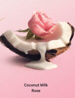 ⁦Coconut Milk Rose Body Scrub⁩ - الصورة ⁦2⁩