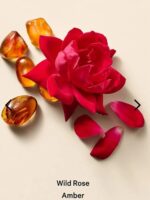 ⁦Victoria’s Secret BODY CARE Wild Rose Amber Whipped Body Scrub⁩ - الصورة ⁦2⁩