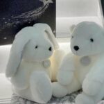 Dior Velvet Teddy Bear & Rabbit Plush Set
