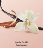 ⁦Victoria’s Secret Vanilla Orchid Sandalwood Hair & Body Mist⁩ - الصورة ⁦6⁩