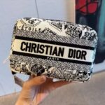 Christian Dior Plan de Paris Embroidered Pouch